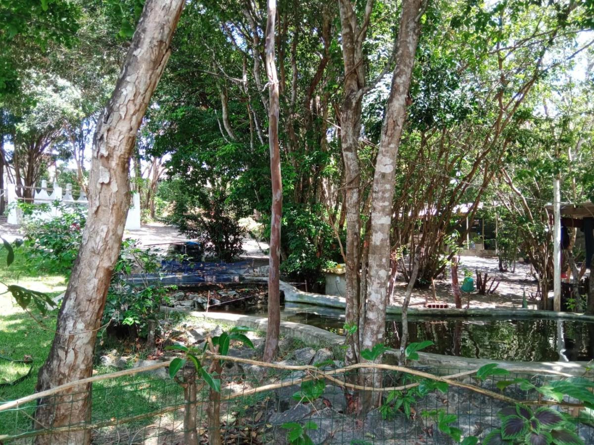 Gopipa934 Apartamento *