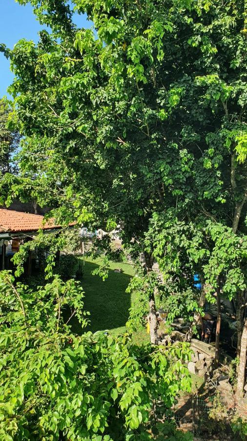Apartamento Gopipa934 Praia de Pipa