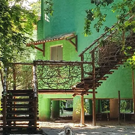 Apartamentos Gopipa934 Praia de Pipa Exterior foto
